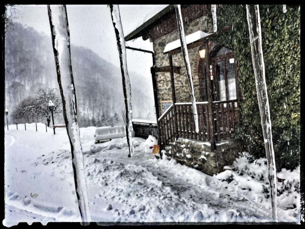 B&B Vinicola23 Limone Piemonte Zewnętrze zdjęcie